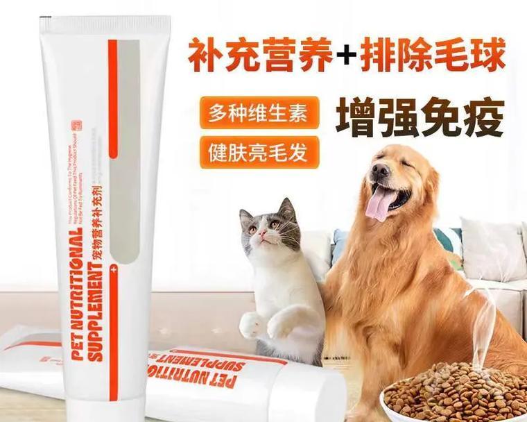 让你的猫咪拥有光亮的毛发（三个要点教你让猫咪毛发更加亮丽）