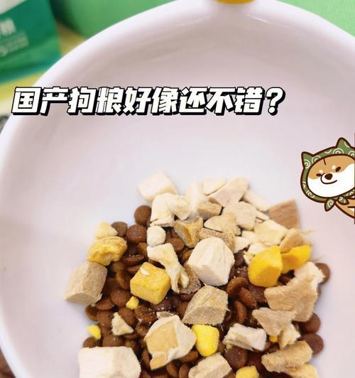 如何判断狗粮适不适合狗狗？（五种情况，你应该考虑换粮了）