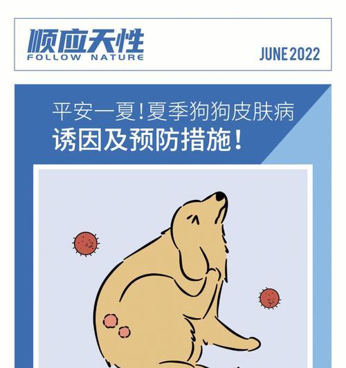 螨虫与真菌感染引起的狗狗皮肤病的区别（怎样区分螨虫和真菌感染？如何有效治疗狗狗皮肤病？）