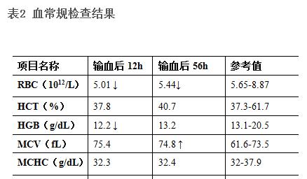 狗狗牙龈变白的原因及影响（引起贫血的5个原因）
