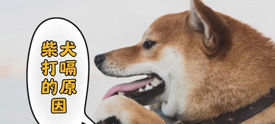 狗狗打嗝（警惕狗狗打嗝的原因和可能的健康问题）