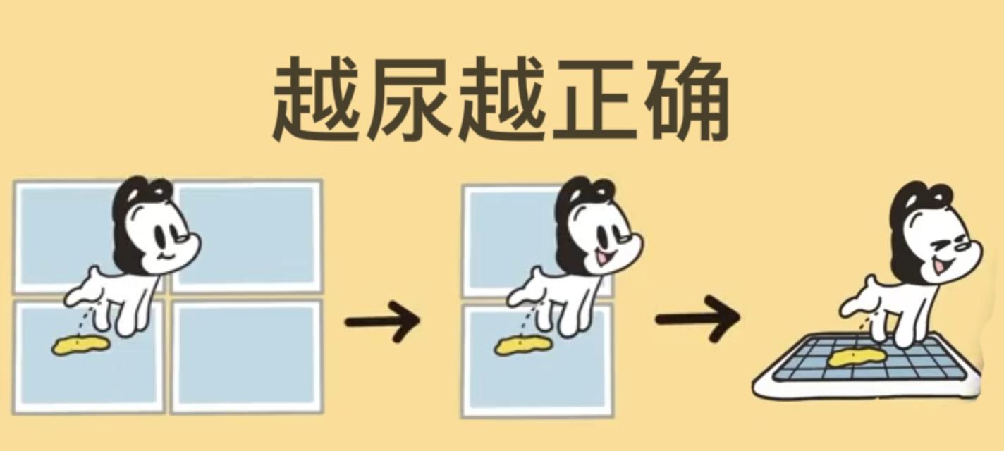 狗狗尿液黄的原因及注意事项（了解狗狗尿液颜色变化的重要性，保持宠物健康）