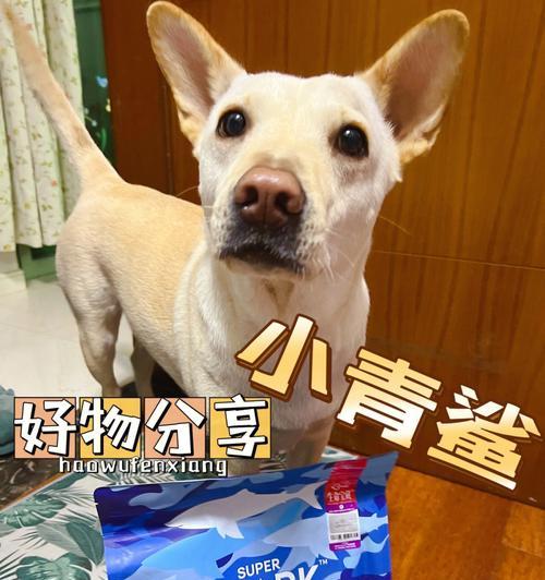 拓展狗狗的饮食选择（丰富饮食，提升狗狗健康，）