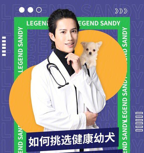 狗怀孕感冒了吃药会滑胎吗？（铲屎官必读）