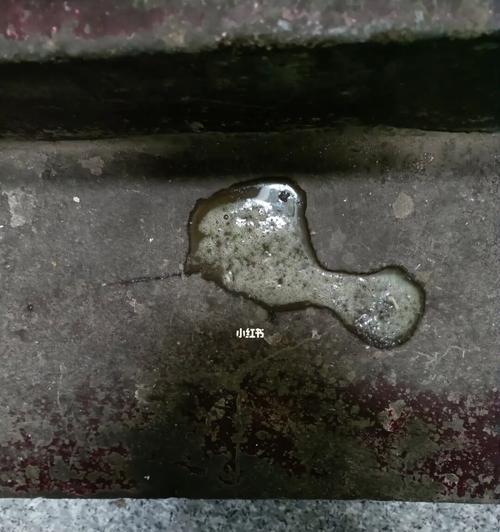狗狗呕吐现象的原因及处理方法（狗狗呕吐的病因、临床表现和治疗方法）