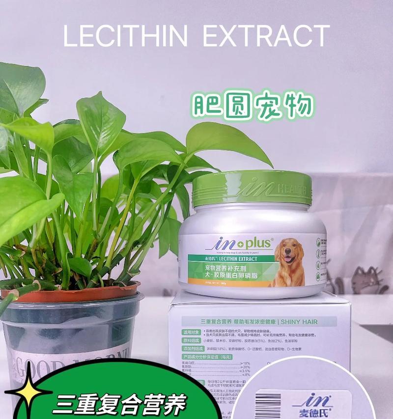 如何顺利给狗狗剪指甲？避免人狗大战（掌握正确方法，让狗狗的指甲修剪变得简单容易）