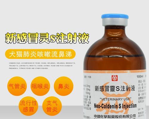 狗狗咳嗽打喷嚏鼻涕打嗝的原因及处理方法（宠物犬的呼吸道问题解决方案）