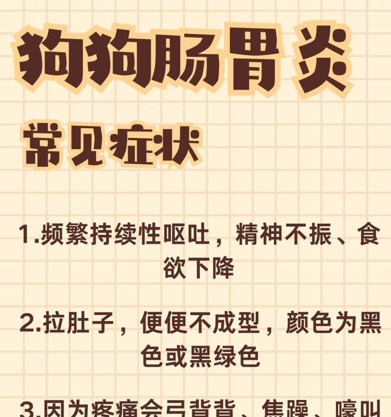 狗狗吐白黄色液体只是肠胃炎？（医生的解答让您放心了）