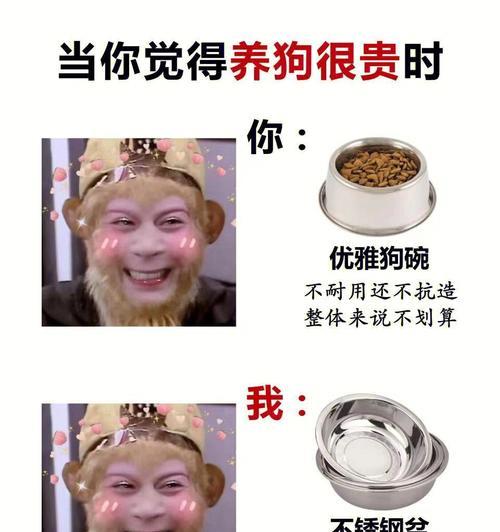 省钱攻略（简易又省钱的宠物洗澡技巧，让你的狗狗焕然一新）