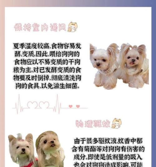 幼犬饲养指南（养幼犬要注意的事项及方法，让它茁壮成长）