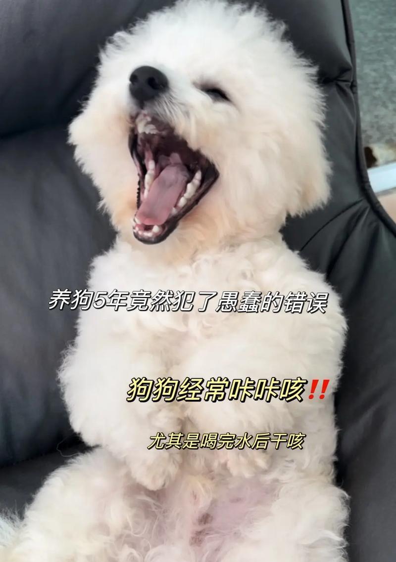 狗狗咳嗽（揭秘常见引起狗狗咳嗽的原因，以及如何有效治疗）