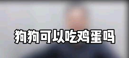 狗狗是否能吃鸡蛋？（喂狗狗吃鸡蛋的注意事项及好处）