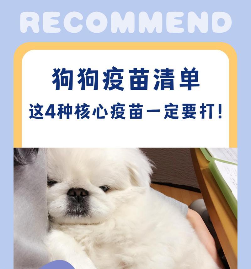 幼犬疫苗接种指南——健康守护从幼开始（幼犬打疫苗的时间、方式及注意事项）