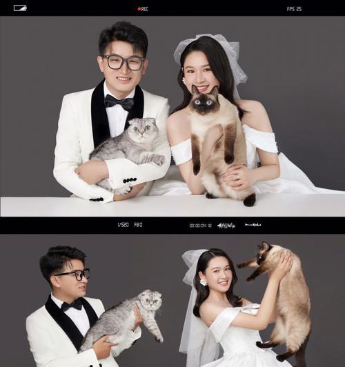 狗狗也有专属婚纱！（一起看看狗狗婚纱是如何的吧！）