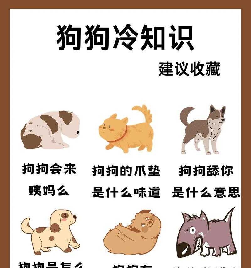 科学训练狗狗的方法与技巧（简单易学的训练技巧，让你的狗狗听话又乖巧）