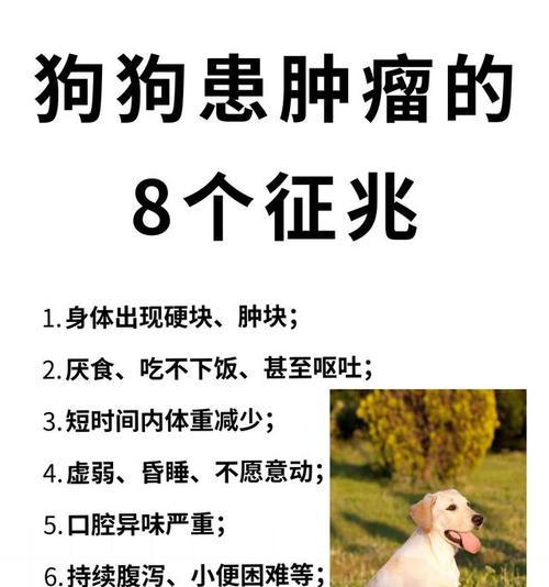 如何帮助小狗狗排便？（3个有效的方法解决小狗不拉屎问题。）