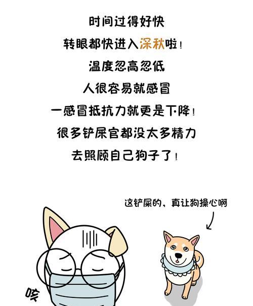 狗狗感冒处理的综合指南（从保暖措施到营养补充，帮助你的狗狗战胜感冒）