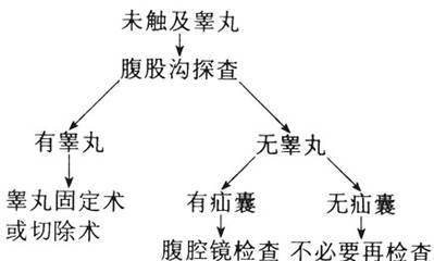 隐睾症的治疗方法及是否需要绝育（探究隐睾症的治疗方案和绝育问题）