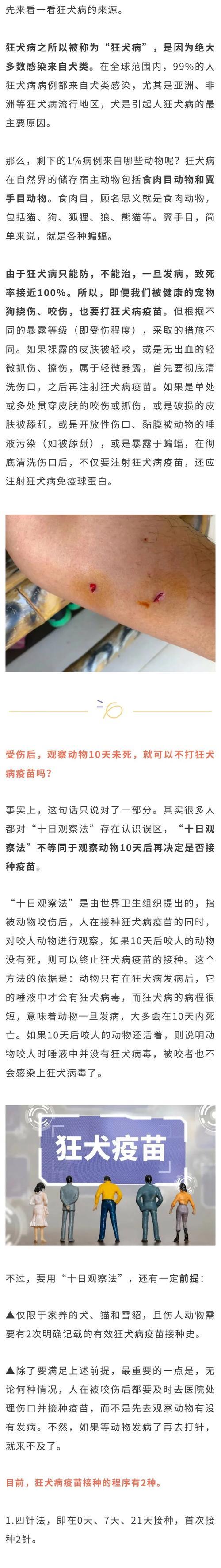 猫咪也有可能患有狂犬病（猫咪出现异常行为或症状，需警惕狂犬病的可能性）