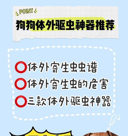 定期驱虫是保护宠物健康的必要措施（关注狗狗驱虫时间，让爱宠远离寄生虫）