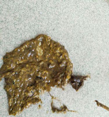 解决狗狗便便臭味问题的有效方法（让你的宠物犬排便规律，告别臭便）