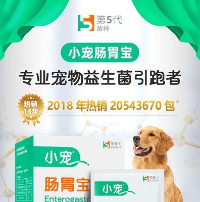 如何帮助狗狗恢复肠道健康（牢记这几个小妙招，帮助狗狗逃离肠胃困境）