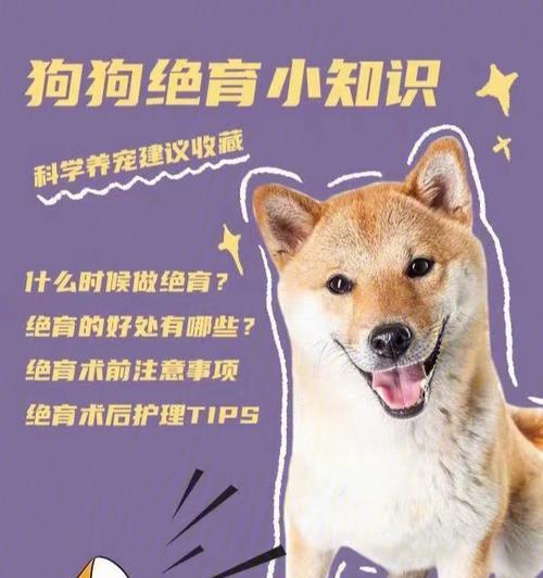 狗狗交配的秘密揭秘（了解交配秘密，为狗狗健康计划）