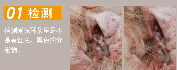 狗皮肤炎症处理指南（探索舔舐病因，有效缓解狗皮肤炎症）