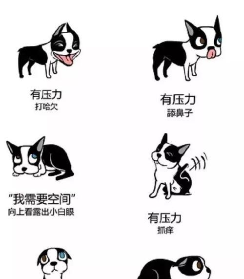 狗狗叫声的不同含义解析（揭秘狗狗叫声背后的语言密码）