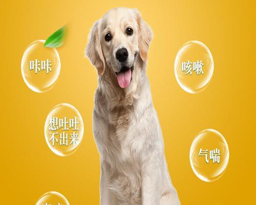 狗狗喉咙发出咔咔声，如何确诊咳嗽的原因？（详解狗狗咳嗽的常见病因和诊断方法）