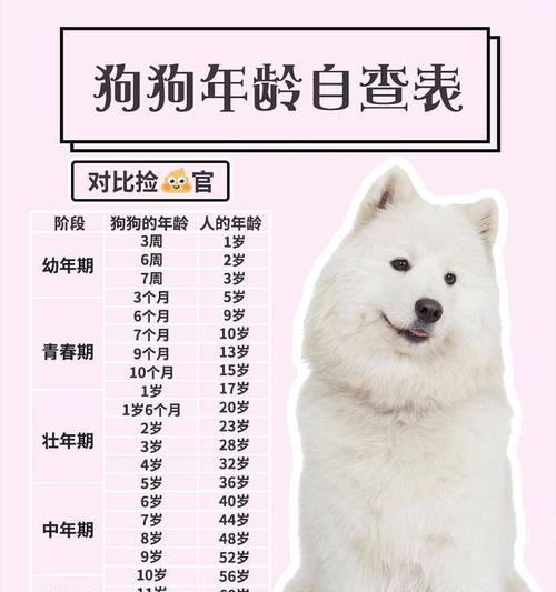 狗狗的老年生活（认识狗狗老年期的身体变化）