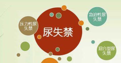 狗狗突然倒地抽搐的原因及处理方法（狗狗抽搐时的大小便失禁可能的原因和应对措施）