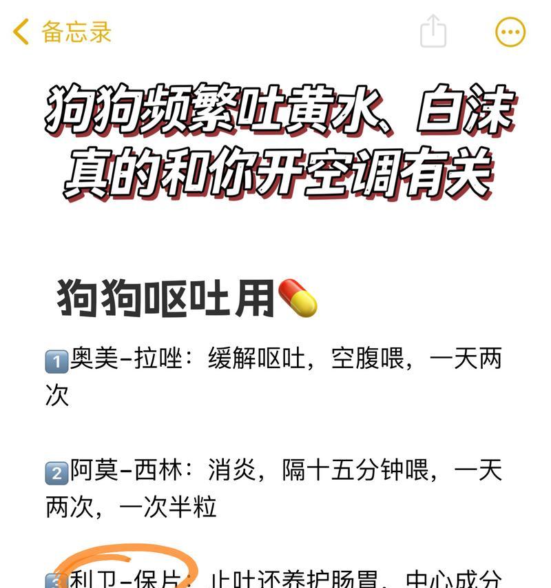 狗狗吐了该怎么办？（通过呕吐物判断病情，及时处理狗狗的身体问题）
