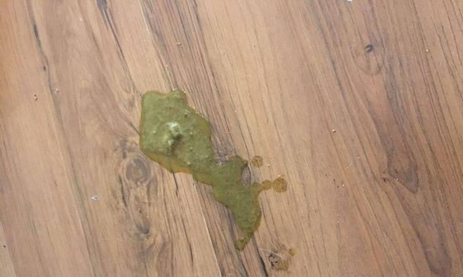 狗狗拉吐频繁，原因何在？（了解狗狗肠胃问题的关键原因及调整方法）
