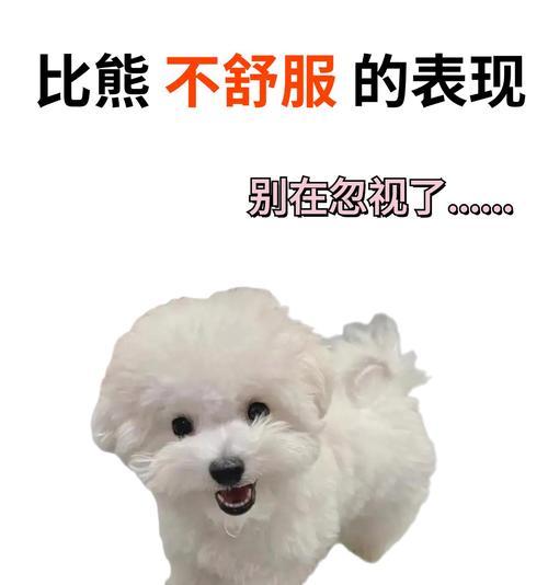 你家狗狗为什么突然不吃东西？（千万不要忽视的几种可能原因）