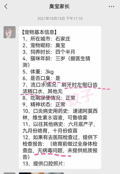 小狗口臭的原因及解决方法（口腔清洁和肠胃健康都关乎口臭问题）