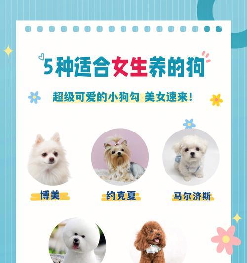 初次养狗指南（幼犬饲养技巧分享，让你成为优秀的新手主人）