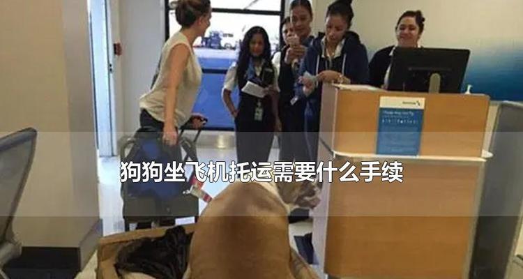 宠物托运（探索宠物托运的便捷方式与手续）