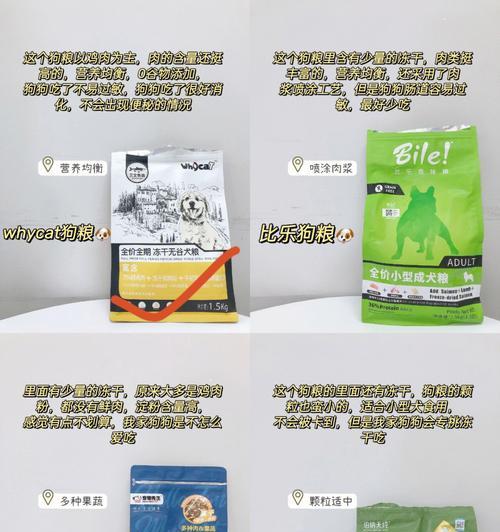 揭秘狗狗一天到底能吃多少狗粮？（探究宠主们关于狗狗饮食的困惑）