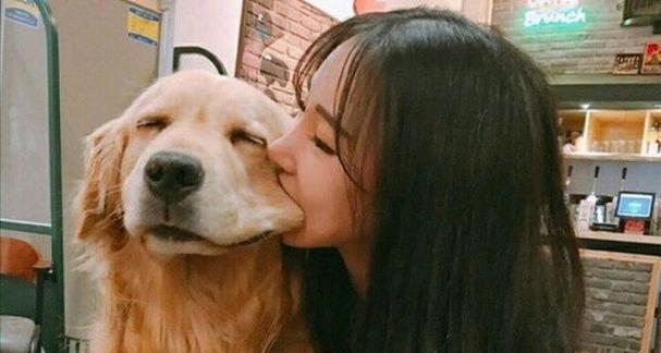 狗狗的真爱（狗狗的真爱无误）