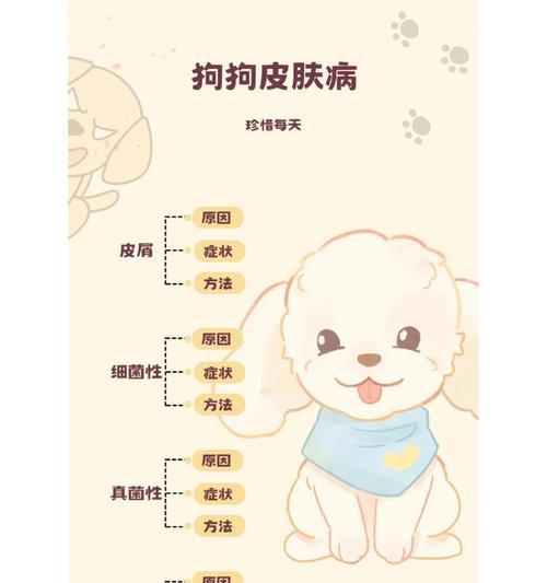 提高狗狗免疫力的有效方法（关注饮食、适当锻炼和定期接种是关键）