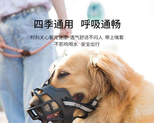 狗狗的呼吸方式与特点（为什么狗狗只用鼻子呼吸？）