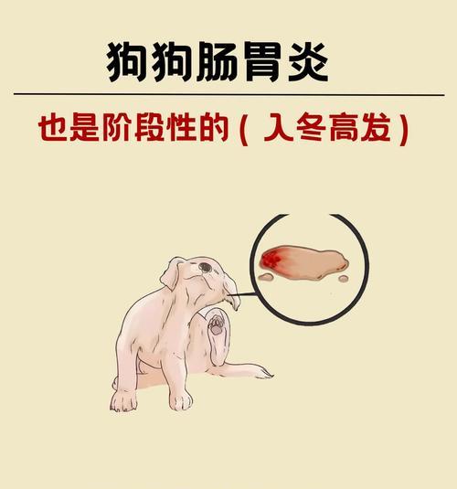 狗狗肠胃炎的成因与治疗措施（了解为什么狗狗会患肠胃炎，以及该如何治疗）