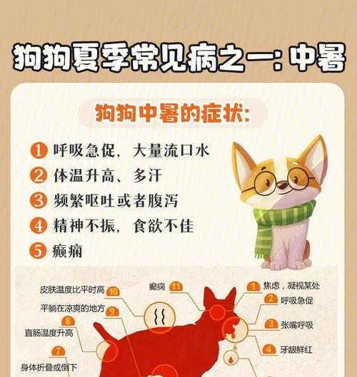 如何处理狗狗病后没有食欲的问题？（原因分析及应对策略）