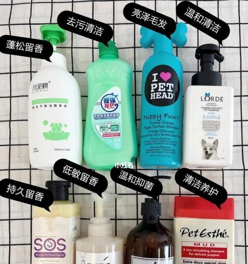 让你的狗狗爱上洗澡的秘诀（解析为什么狗狗抗拒洗澡以及主人们使用的有效方法）
