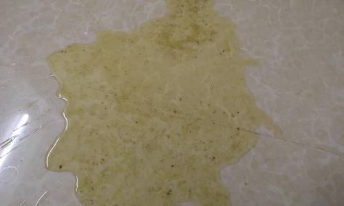 狗狗食肉过多导致消化问题的原因及解决方法（为什么狗狗吃肉总是会拉肚子？如何避免这个问题？）