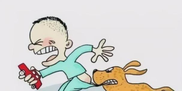 狗狗突然抽搐的病因与急救方法（了解狗狗抽搐的原因，掌握正确的急救方法，保护我们的宠物伙伴）