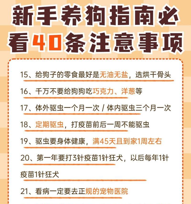 新手养狗必读！冬季狗狗常见易感病症及应对方法（冬季狗狗易感病症大揭秘，做好这些保健措施关键！）