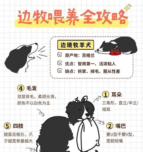 养龟小建议（龟宠养护秘籍，轻松驾驭龟萌萌哒）