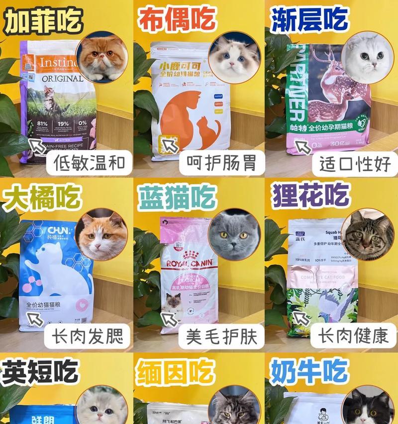 营养丰富又省钱的离乳期猫咪饮食计划（优质食物选择、合理饮食时间安排，让你的猫咪健康成长）